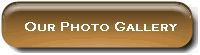 Our Photo Gallery