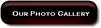 Our Photo Gallery